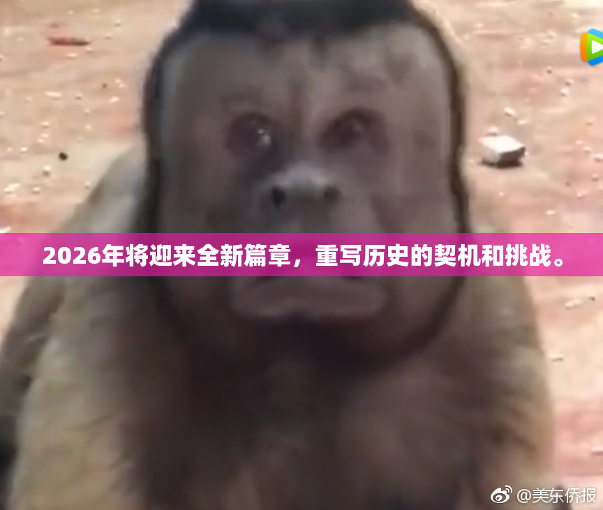 2026年将迎来全新篇章，重写历史的契机和挑战。