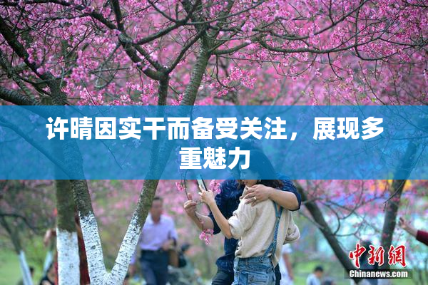 许晴因实干而备受关注，展现多重魅力