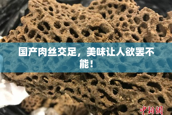 国产肉丝交足，美味让人欲罢不能！
