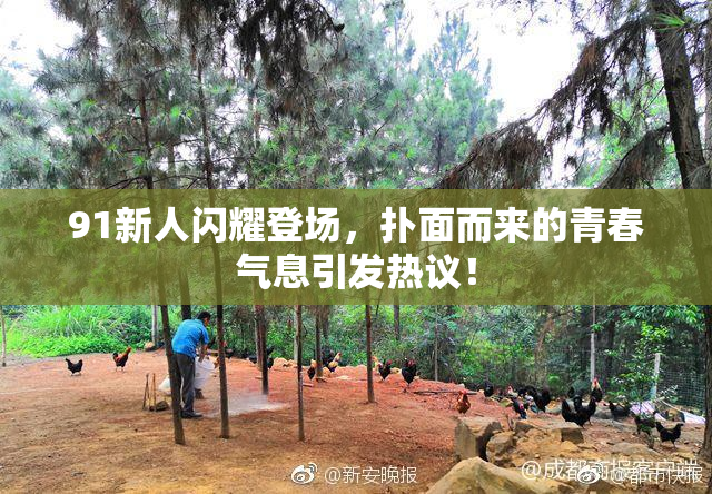 91新人闪耀登场，扑面而来的青春气息引发热议！