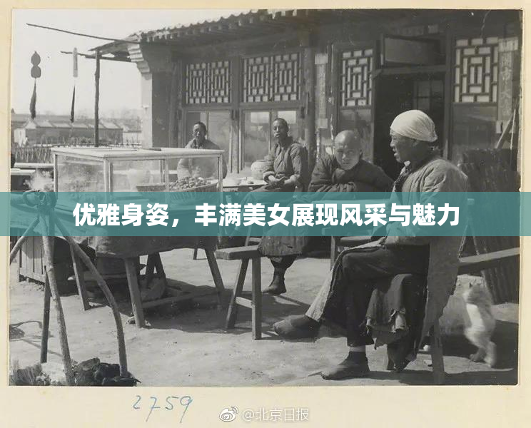 优雅身姿，丰满美女展现风采与魅力