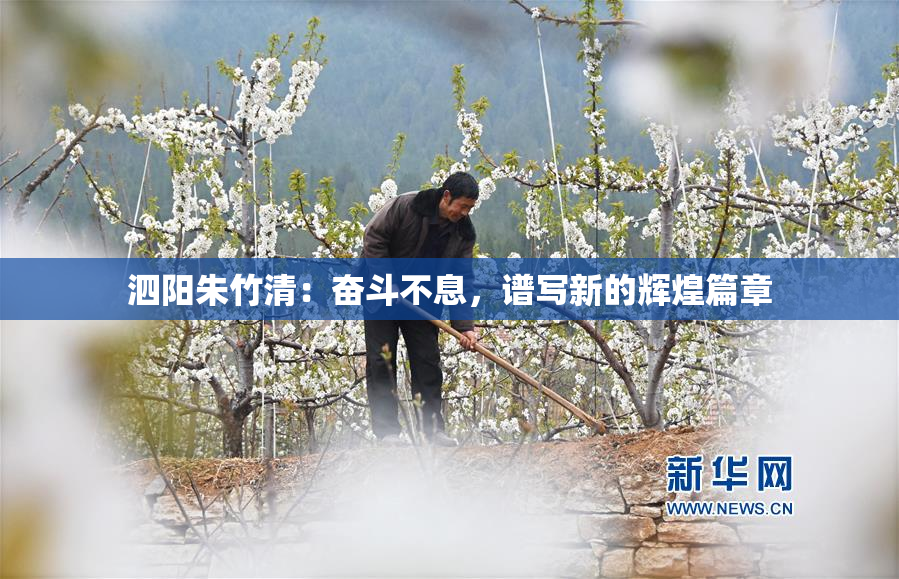 泗阳朱竹清：奋斗不息，谱写新的辉煌篇章