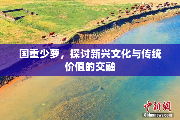 国重少萝，探讨新兴文化与传统价值的交融