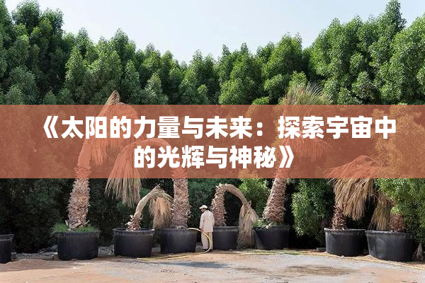 《太阳的力量与未来：探索宇宙中的光辉与神秘》