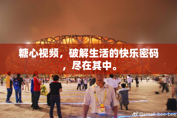 糖心视频，破解生活的快乐密码，尽在其中。