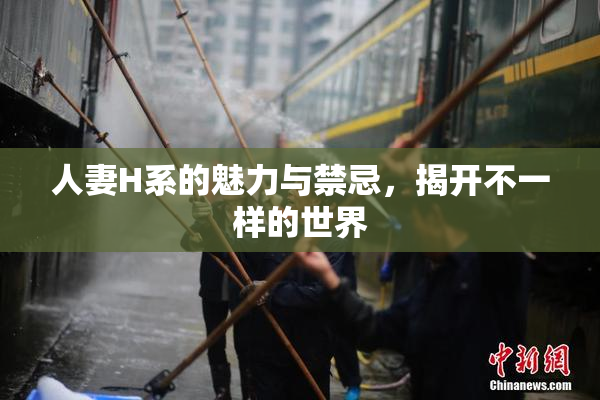 人妻H系的魅力与禁忌，揭开不一样的世界