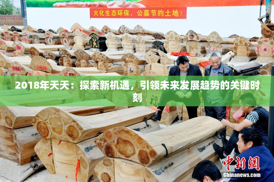 2018年天天：探索新机遇，引领未来发展趋势的关键时刻