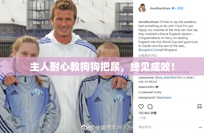 主人耐心教狗狗把尿，终见成效！