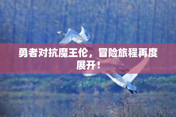 勇者对抗魔王伦，冒险旅程再度展开！