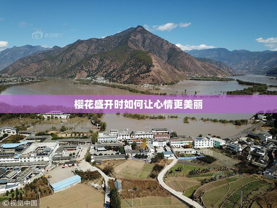 樱花盛开时如何让心情更美丽