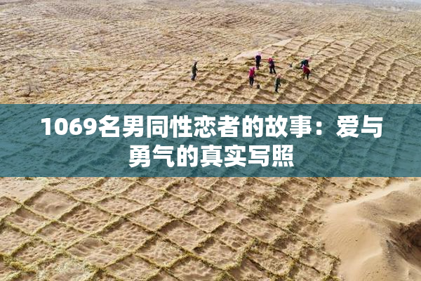1069名男同性恋者的故事：爱与勇气的真实写照
