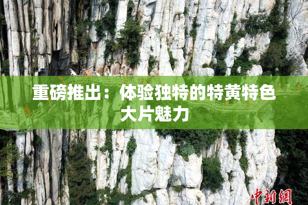 重磅推出：体验独特的特黄特色大片魅力