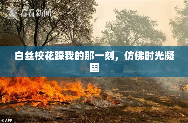 白丝校花踩我的那一刻，仿佛时光凝固