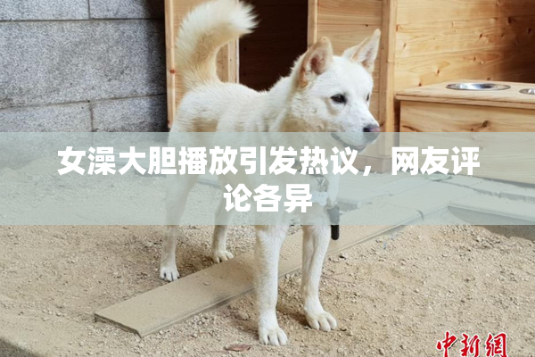 女澡大胆播放引发热议，网友评论各异