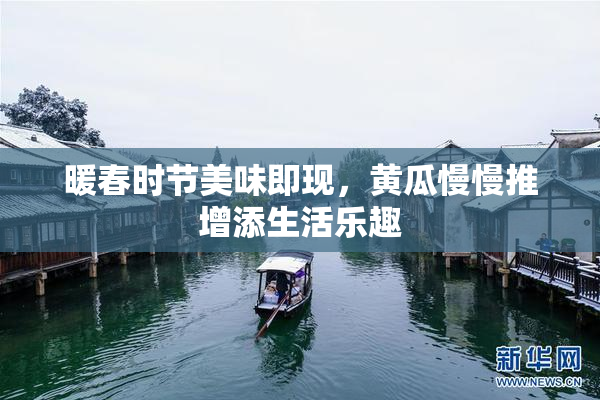 暖春时节美味即现，黄瓜慢慢推增添生活乐趣