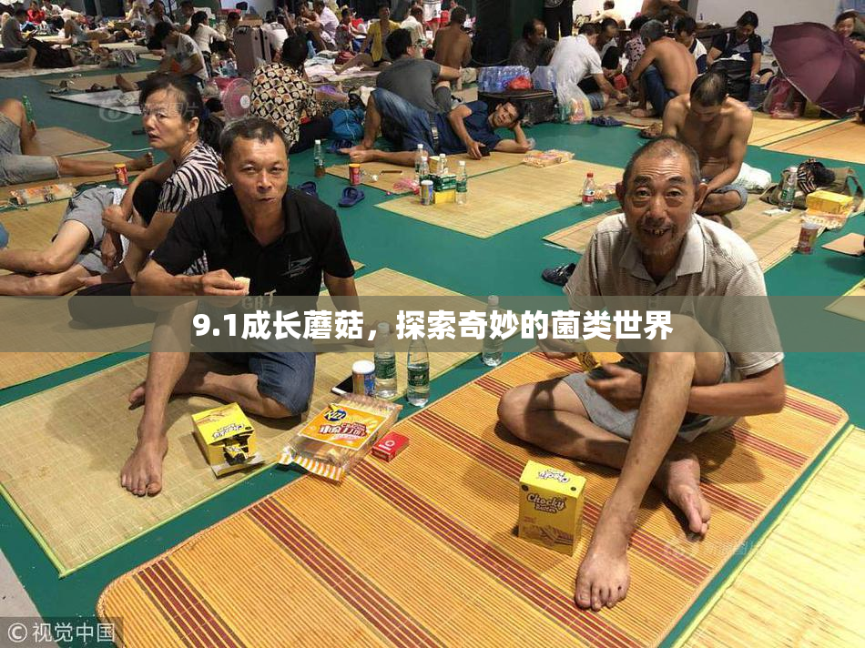 9.1成长蘑菇，探索奇妙的菌类世界