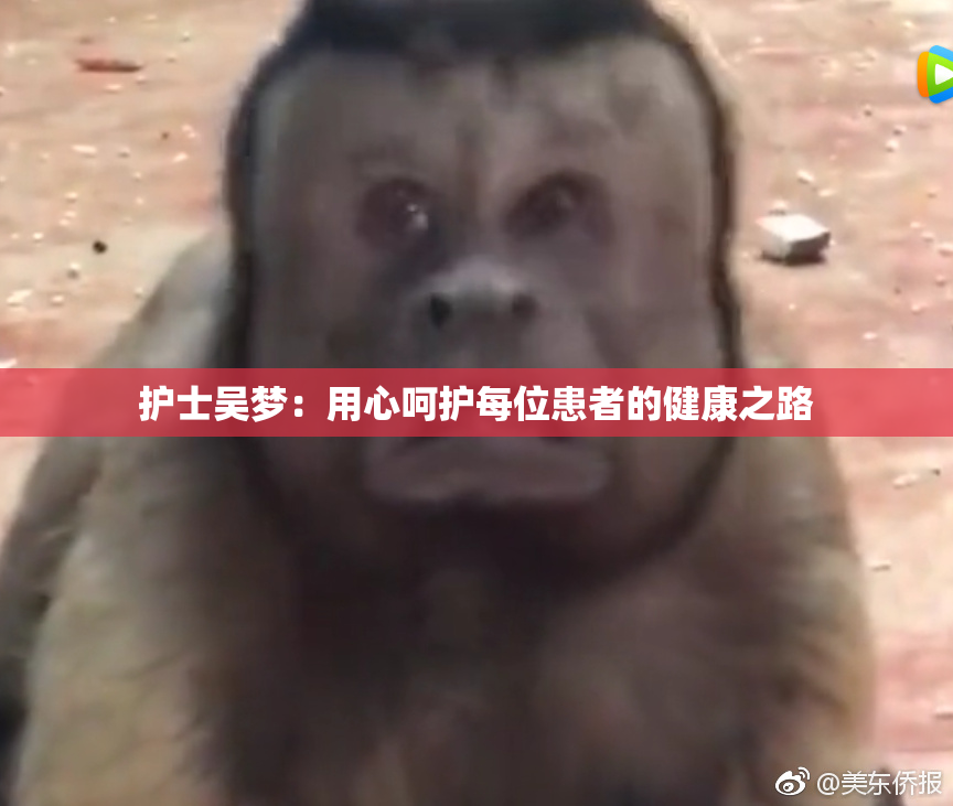 护士吴梦：用心呵护每位患者的健康之路