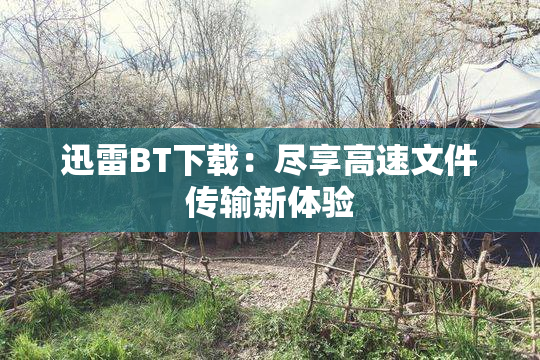 迅雷BT下载：尽享高速文件传输新体验