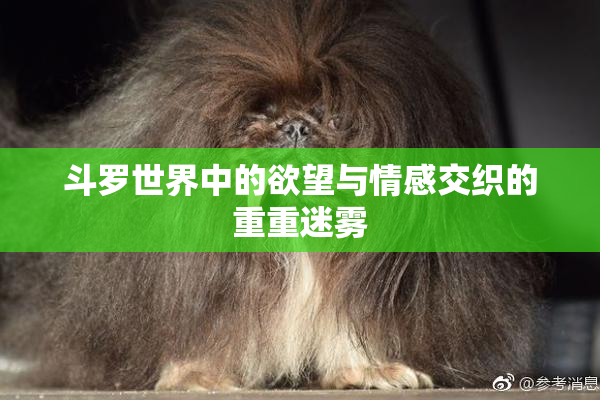 斗罗世界中的欲望与情感交织的重重迷雾