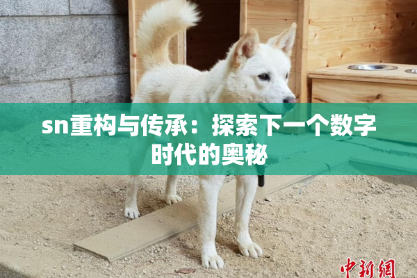 sn重构与传承：探索下一个数字时代的奥秘