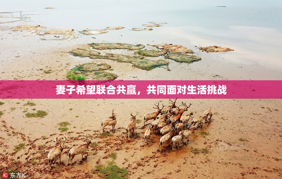 妻子希望联合共赢，共同面对生活挑战
