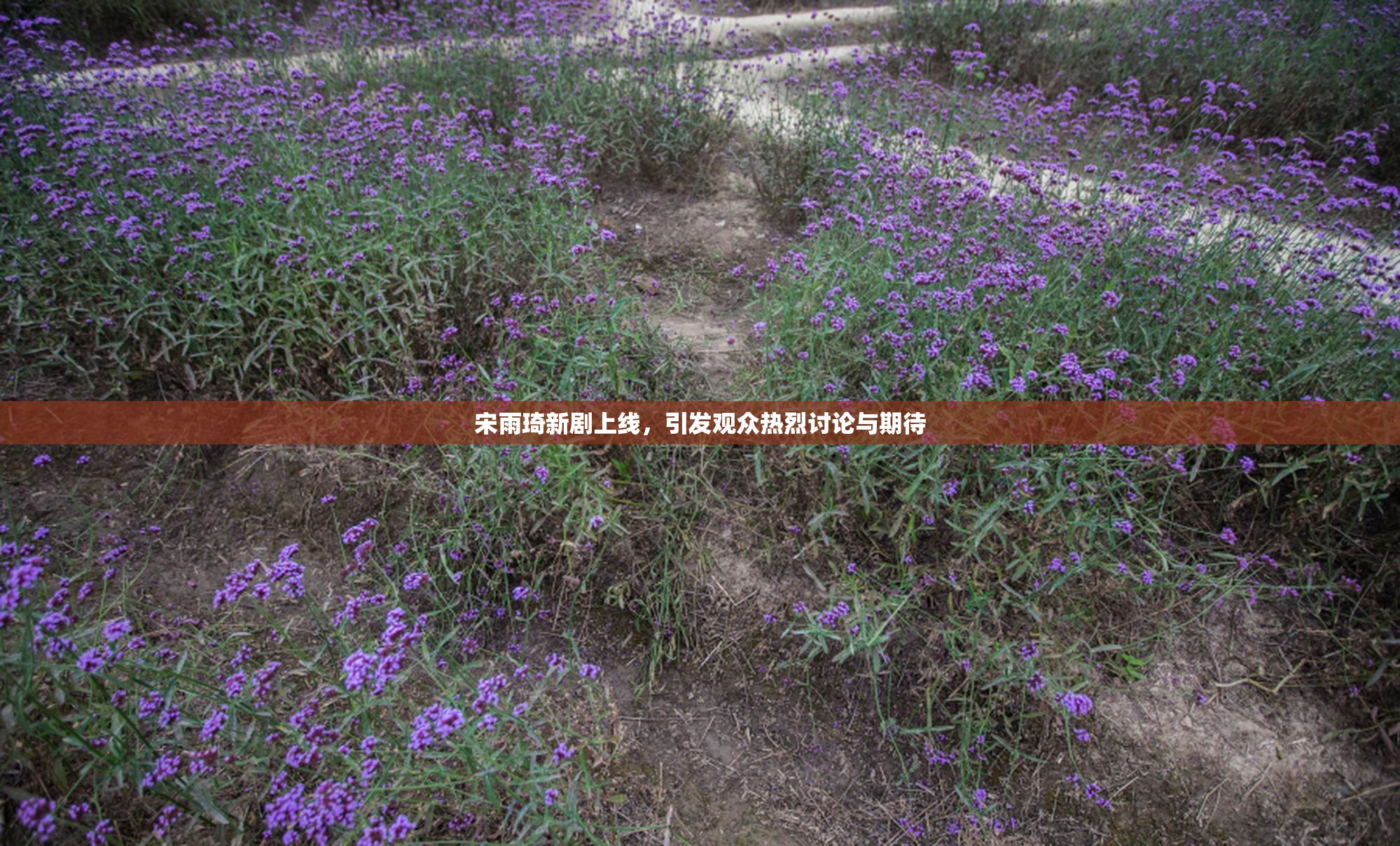 宋雨琦新剧上线，引发观众热烈讨论与期待