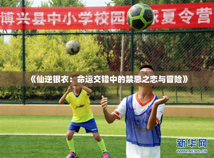 《仙逆银衣：命运交错中的禁忌之恋与冒险》