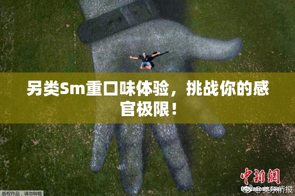 另类Sm重口味体验，挑战你的感官极限！