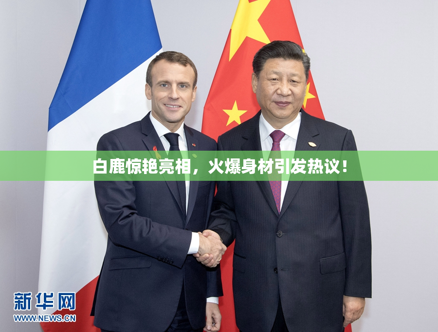 白鹿惊艳亮相，火爆身材引发热议！