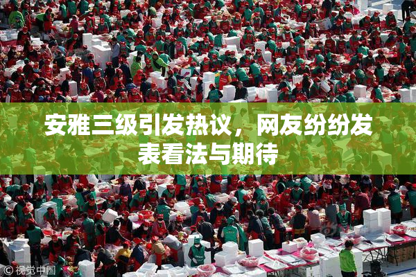 安雅三级引发热议，网友纷纷发表看法与期待