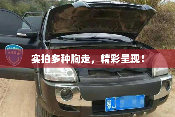 实拍多种胸走，精彩呈现！