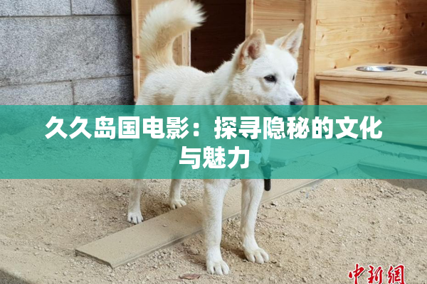 久久岛国电影：探寻隐秘的文化与魅力