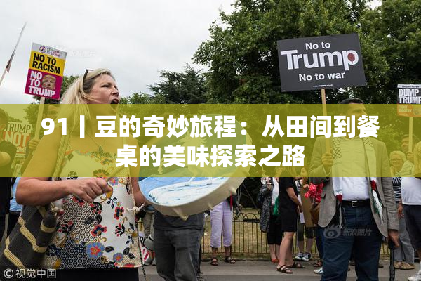 91丨豆的奇妙旅程：从田间到餐桌的美味探索之路