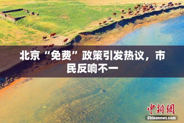 北京“免费”政策引发热议，市民反响不一