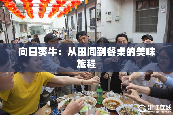 向日葵牛：从田间到餐桌的美味旅程
