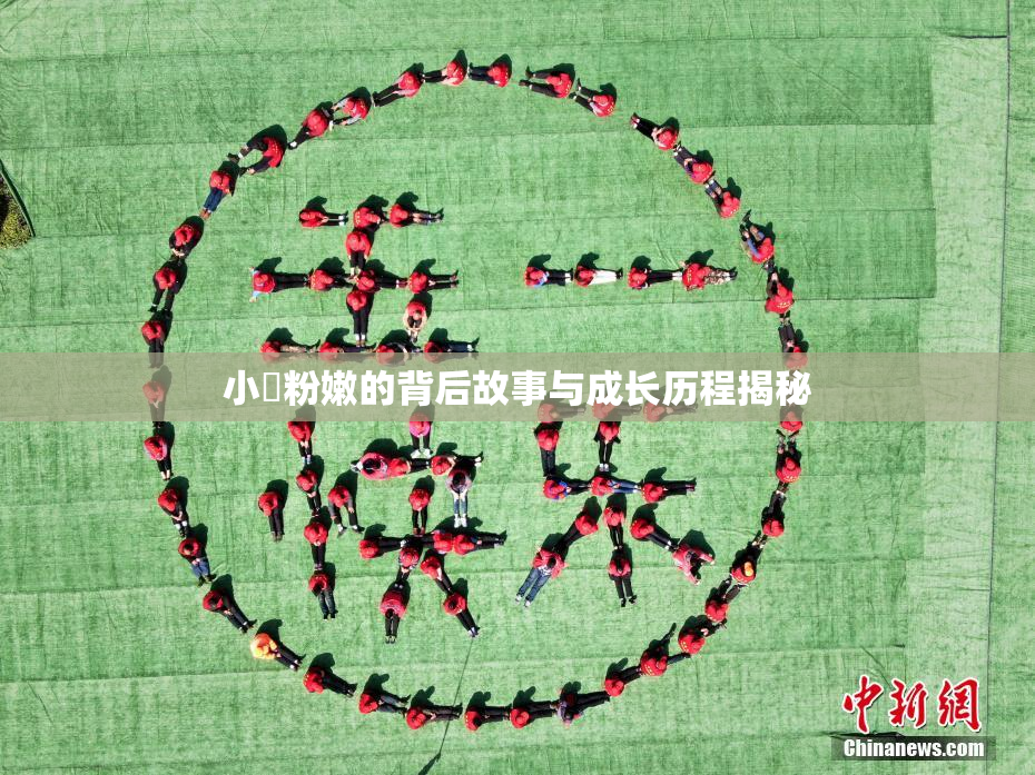 小泬粉嫩的背后故事与成长历程揭秘