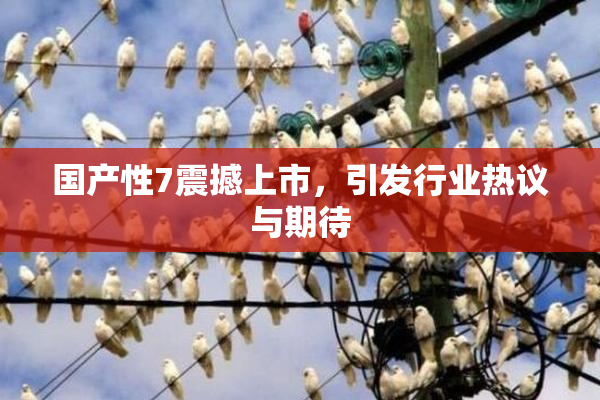 国产性7震撼上市，引发行业热议与期待