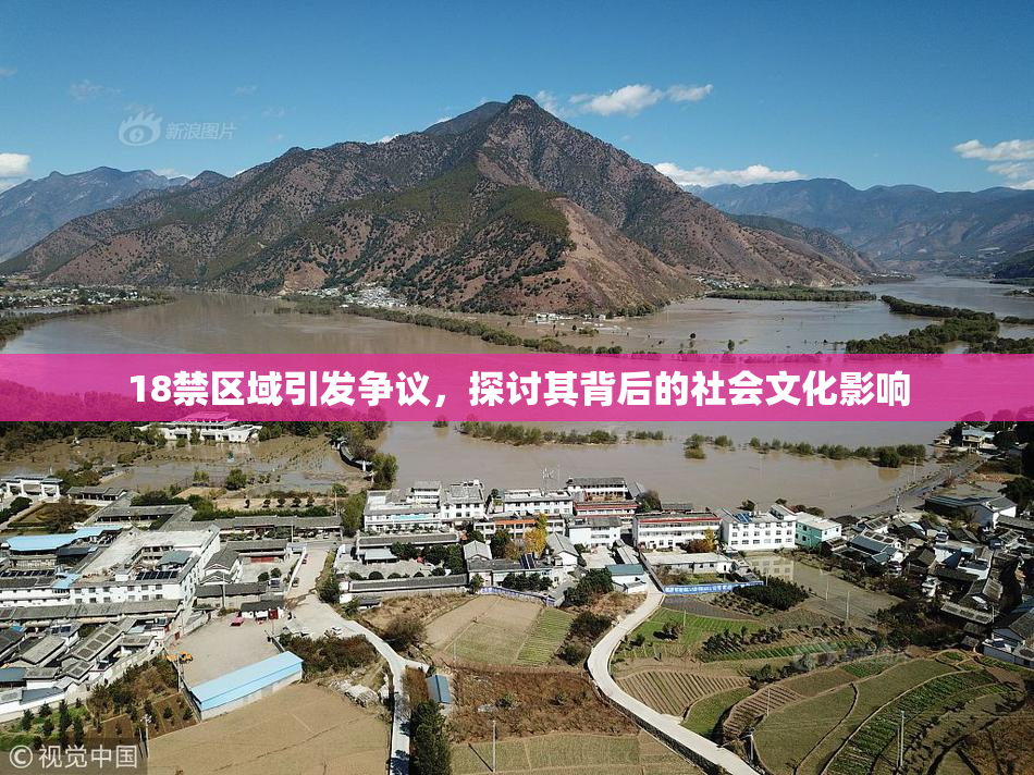 18禁区域引发争议，探讨其背后的社会文化影响