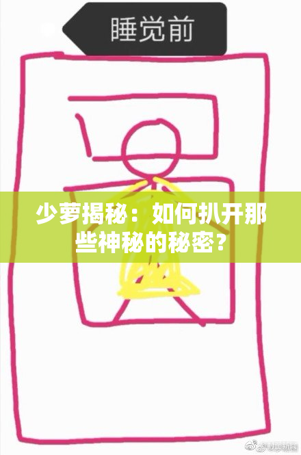 少萝揭秘：如何扒开那些神秘的秘密？