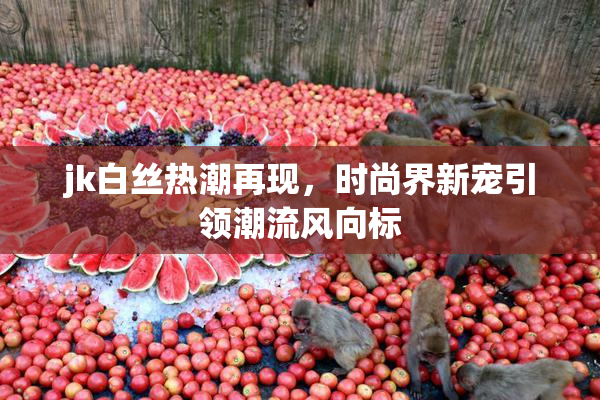 jk白丝热潮再现，时尚界新宠引领潮流风向标