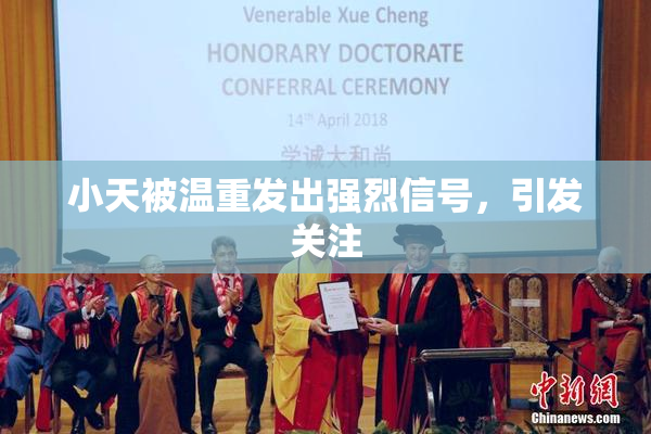小天被温重发出强烈信号，引发关注