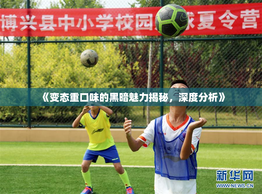 《变态重口味的黑暗魅力揭秘，深度分析》