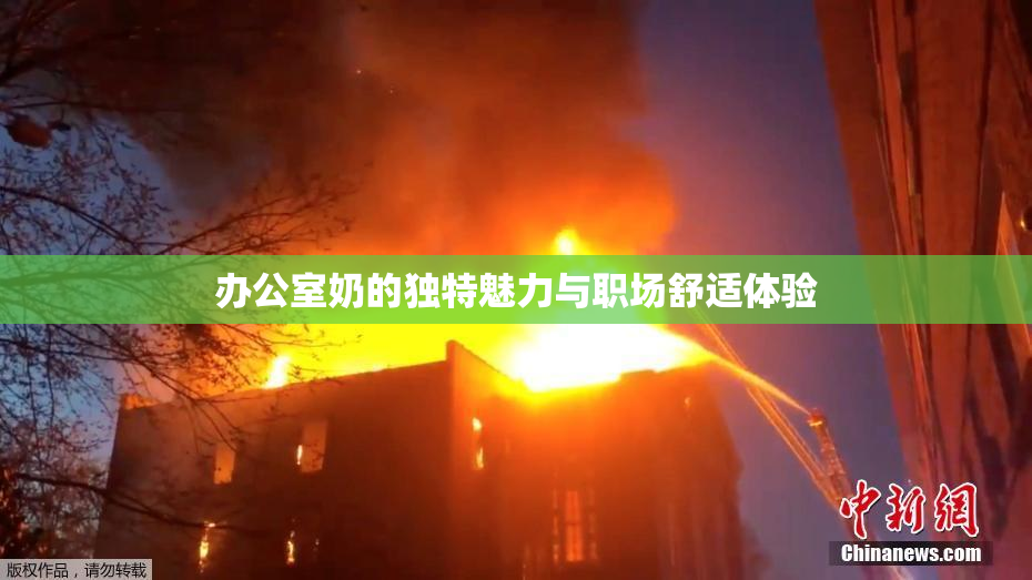 办公室奶的独特魅力与职场舒适体验
