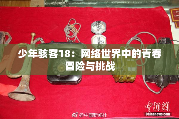 少年骇客18：网络世界中的青春冒险与挑战