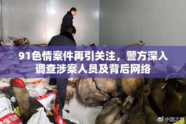 91色情案件再引关注，警方深入调查涉案人员及背后网络