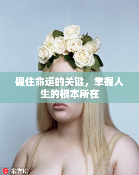 握住命运的关键，掌握人生的根本所在