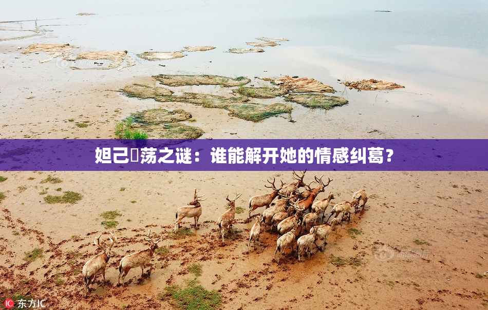 妲己婬荡之谜：谁能解开她的情感纠葛？