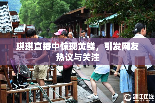 琪琪直播中惊现黄鳝，引发网友热议与关注