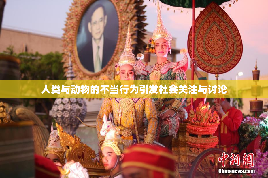 人类与动物的不当行为引发社会关注与讨论