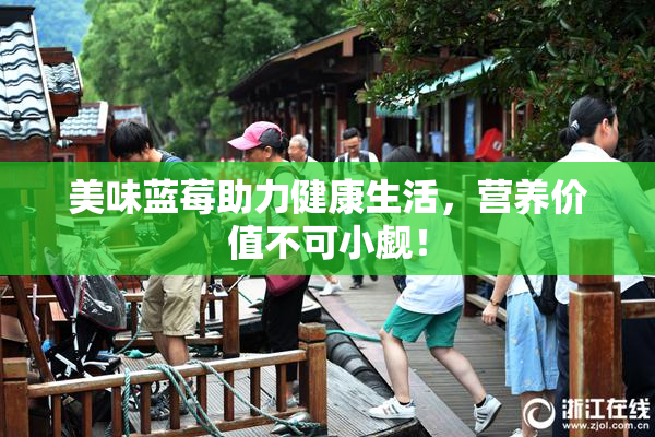 美味蓝莓助力健康生活，营养价值不可小觑！
